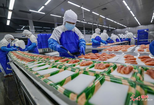 山东荣成 海洋食品生产加工忙，春季开工干劲足
