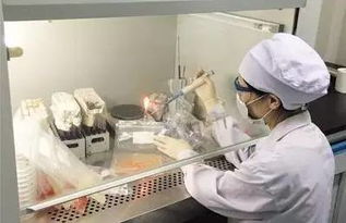 食品加工环境中李斯特菌的快速检测方法