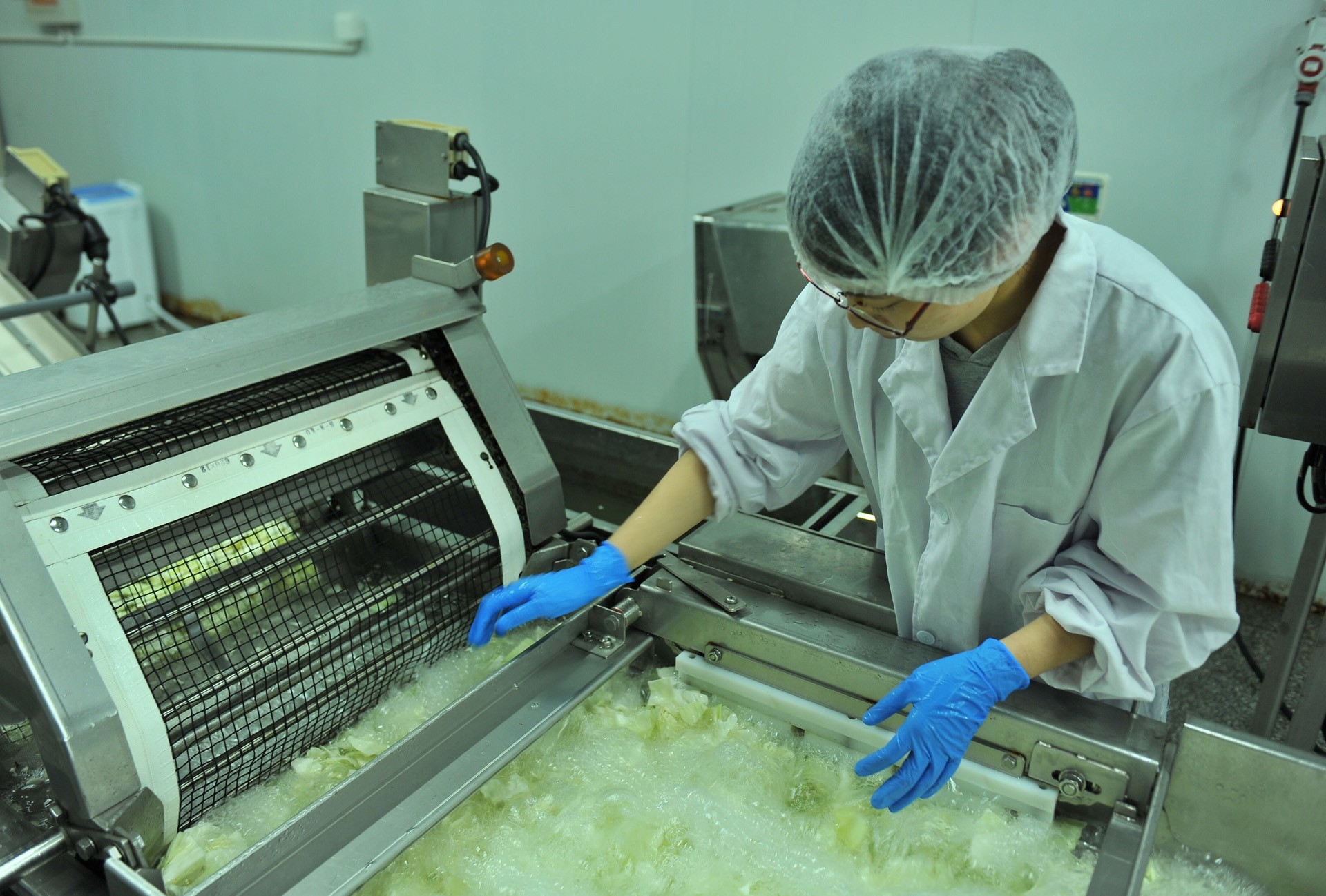 食品加工技术的发展历程 从传统工艺到智能制造的演变